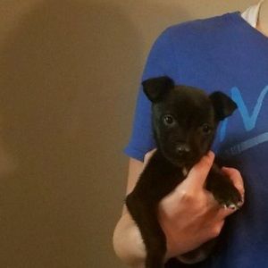 Meet your Posher, Maggie